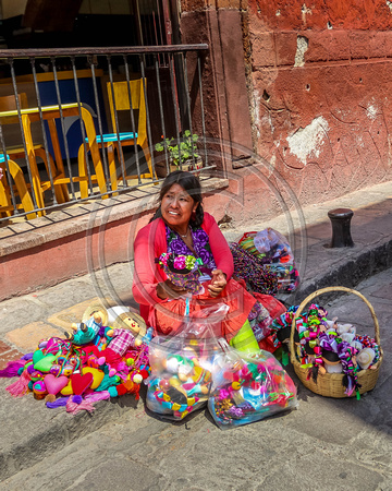 Street vendor in San Miguel